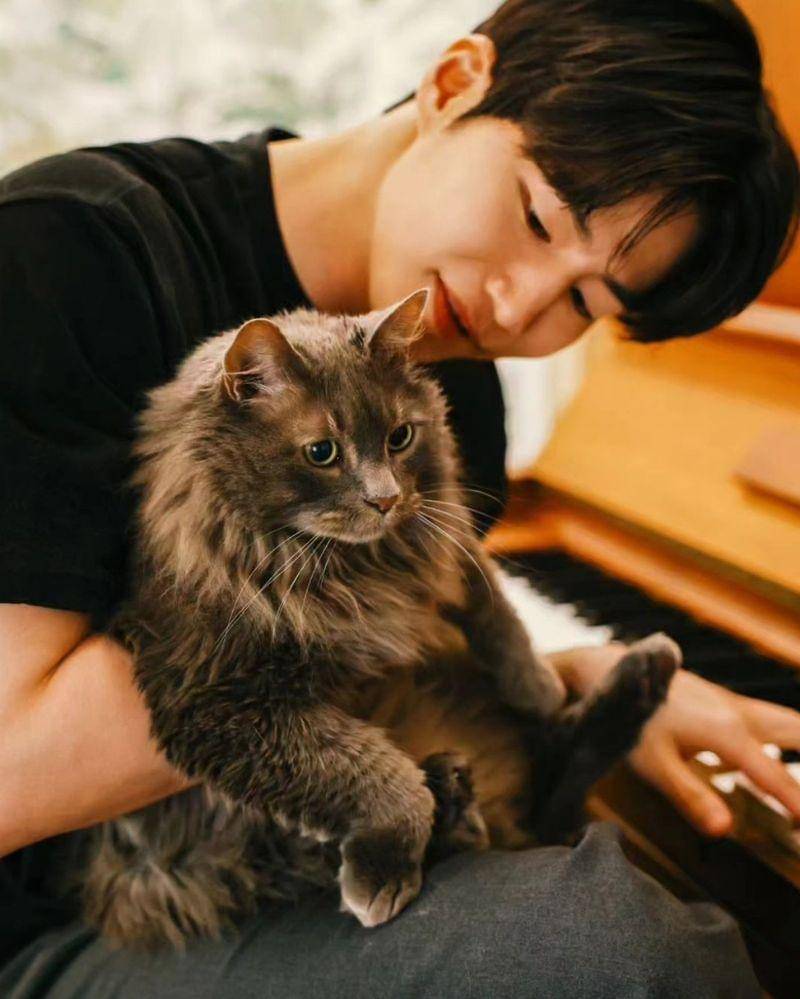 Instagram.com/cannes_pic